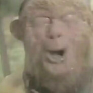 花果山独立团团长