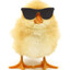 LilBuffalowWang