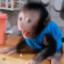 lilmonkey