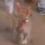 Thundergirl Jar