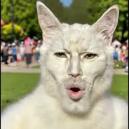 sate - steam id 76561199636476196