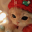 Piggy_zZ