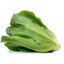 fresh cos lettuce