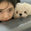 moos