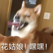 晚风不及程姑娘