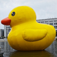 没有能力没有责任