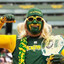 #1 packer fan