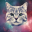 Cosmo_Cat