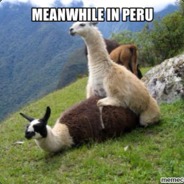 #Peruvian Pride