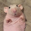 Onkel Poddis