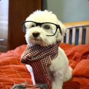 CounterSeal - steam id 76561197960270657