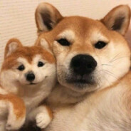 一杯红酒配电影