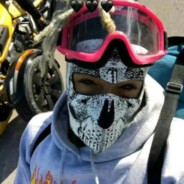 扶桑大红花小越