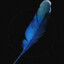 BlueFeather