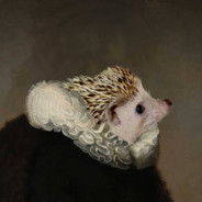 hudgehog