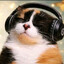 Kittyheimer