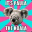 Paula the Koala