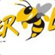 [ s8 ] Killer Bee <NGL> - steam id 76561197963235570
