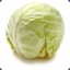 Innocent_Cabbage