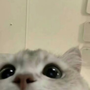 只有你是天蓝色