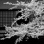 mixture-