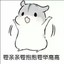 谁家的小兔叽呀
