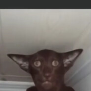 da