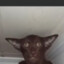 da