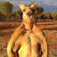 Roger The Buff Kangaroo