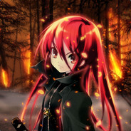 我的老婆是shana