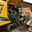 First Noe1