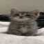 キャンディーアップル