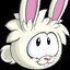 Elliot Gunn !!! BUNNY RAVE !!!