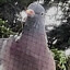 Zckrfrk | zfstream.de