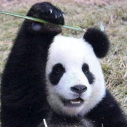 TRULY HUMBLE UNDER WHO