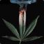 S!r. WeeDHeaD