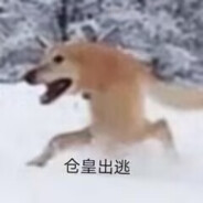 凌晨3点蹦迪的虫子