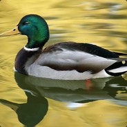 ErzengelMichael24