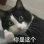 尿管连接大脑，膀胱代替思考