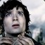 Frodo Faggins