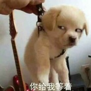 活蹦乱跳的300块