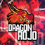 xDraGonRoJo