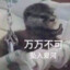 达咩-达咩