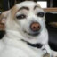 Speedwagon