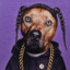 BottomDogg420Peek