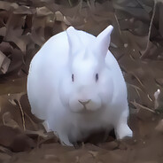 Killer Rabbit avatar