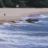 丢盔弃甲的小羊