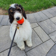 Time to EAT! (Food?)