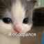 Пушечное мясо