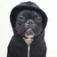 Mencho's avatar